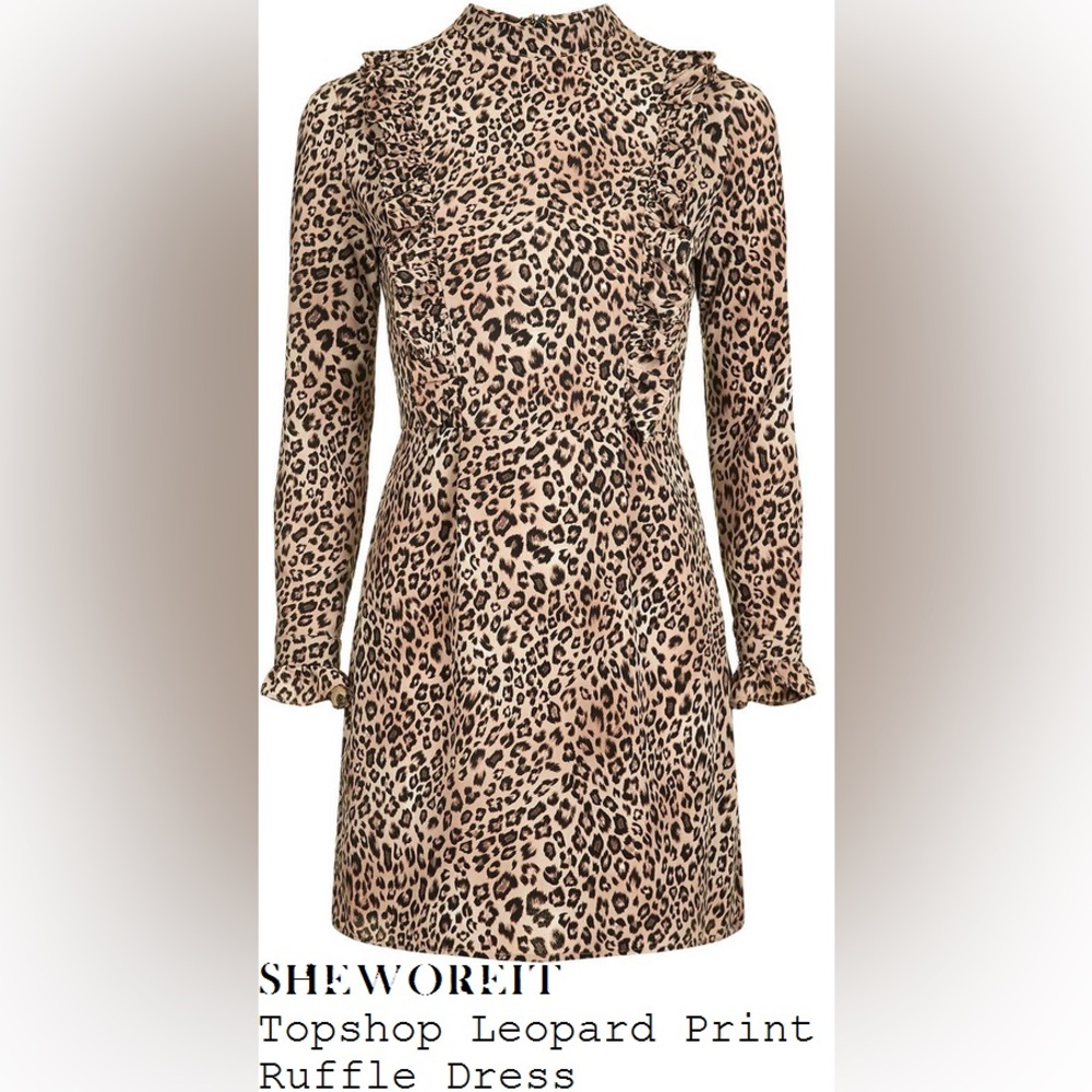 Leopard Print Long Sleeve Mini Dress with Ruffles